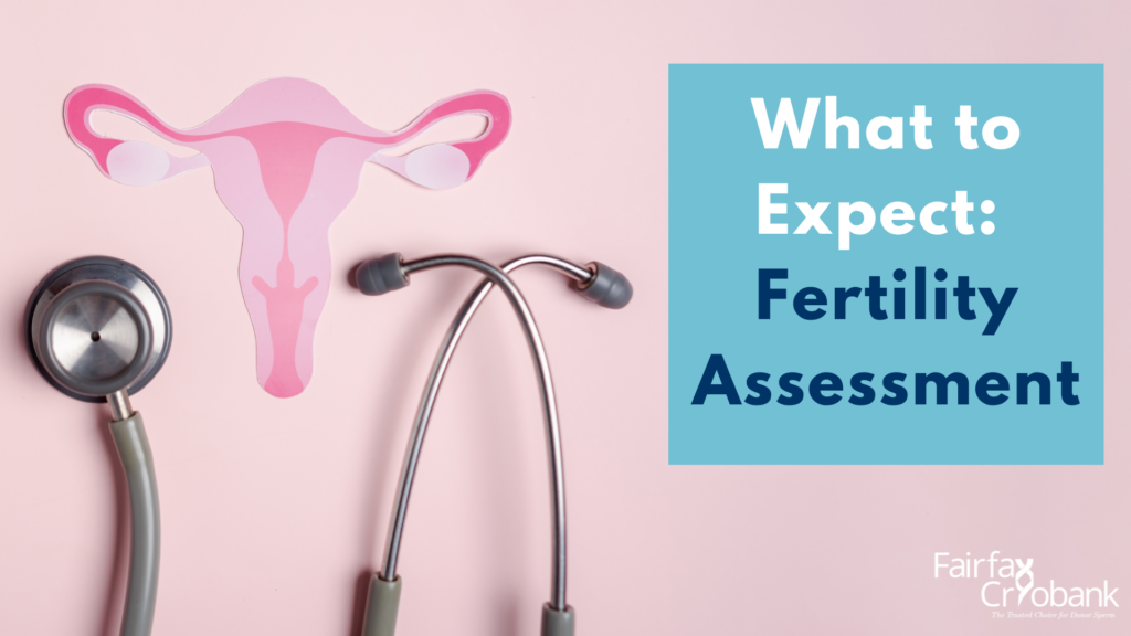 WHAT TO EXPECT: FERTILITY ASSESSMENT