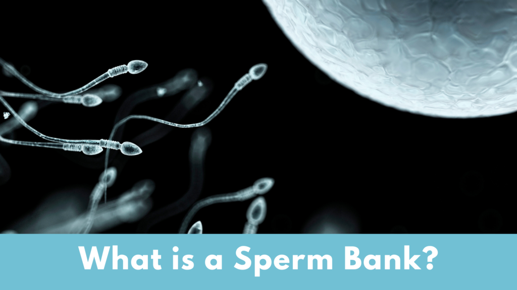 What Is a Sperm Bank?