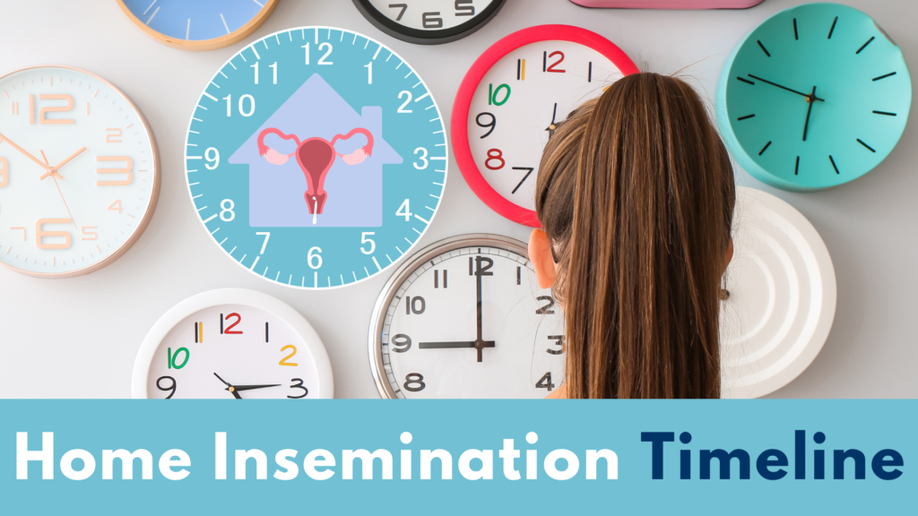 Home Insemination Timeline: Planning Guide