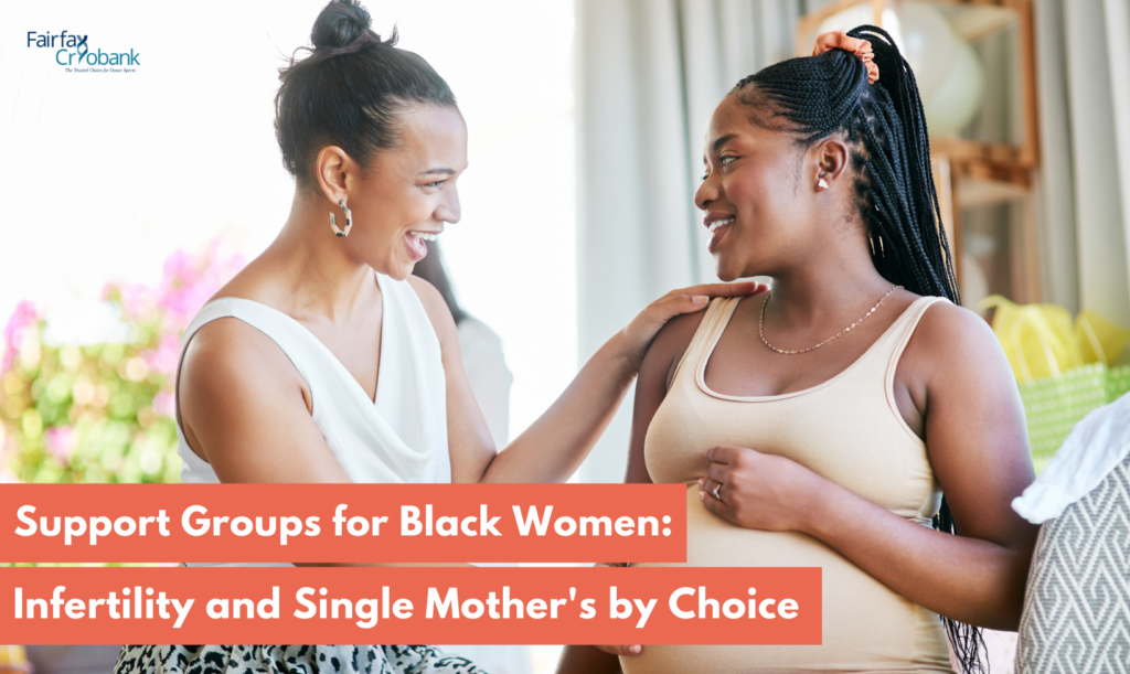 Support Groups for Black Women: Infertility and Single Mother’s by Choice
