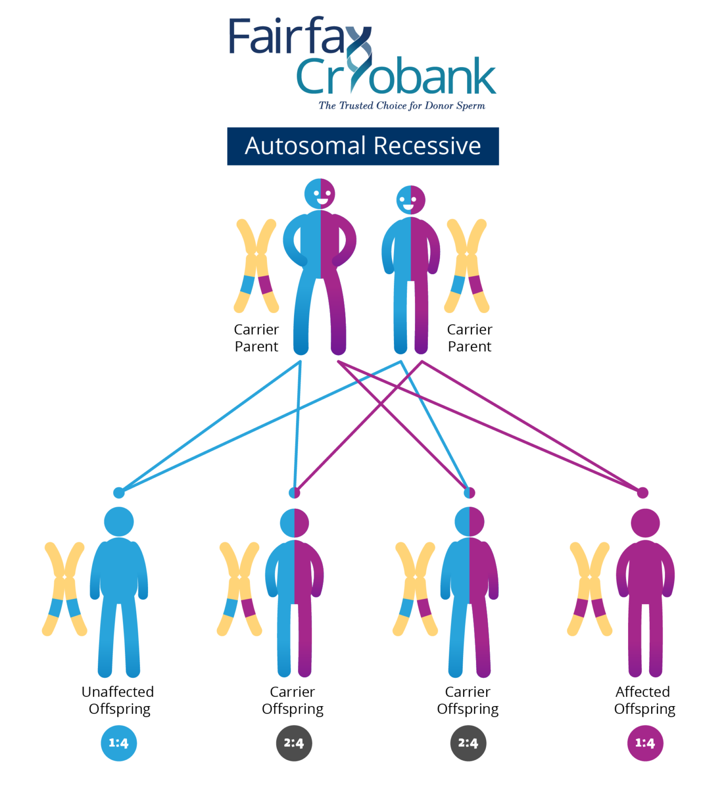 expanded-genetic-disease-testing-fairfax-cryobank