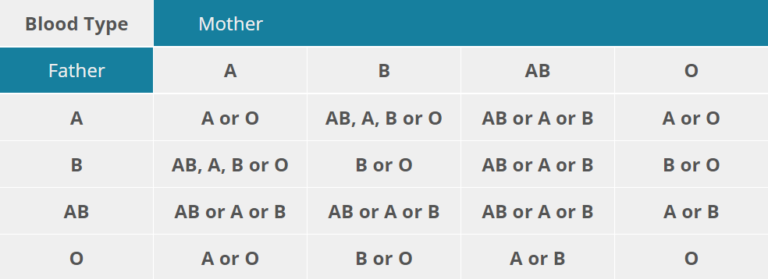 Which Parent Determines Baby’s Blood Type? 